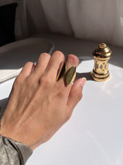 Golden wings ring